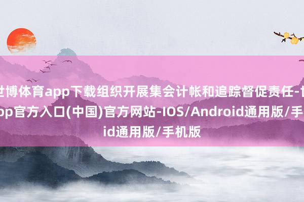 世博体育app下载组织开展集会计帐和追踪督促责任-世博app官方入口(中国)官方网站-IOS/Android通用版/手机版