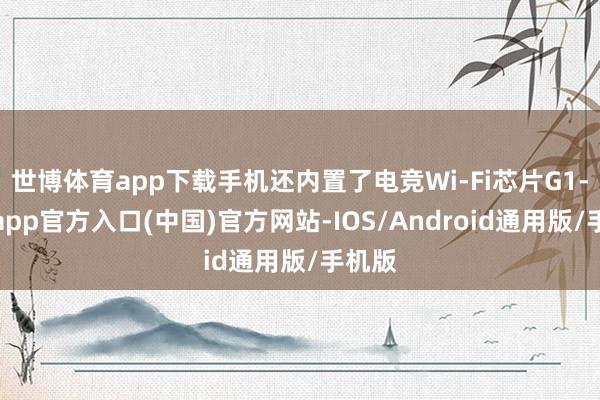 世博体育app下载手机还内置了电竞Wi-Fi芯片G1-世博app官方入口(中国)官方网站-IOS/Android通用版/手机版