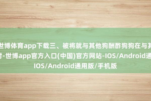 世博体育app下载三、被将就与其他狗酬酢狗狗在与其他狗狗相处时-世博app官方入口(中国)官方网站-IOS/Android通用版/手机版