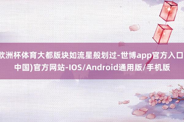 欧洲杯体育大都版块如流星般划过-世博app官方入口(中国)官方网站-IOS/Android通用版/手机版