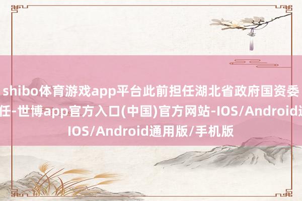 shibo体育游戏app平台此前担任湖北省政府国资委党委布告、主任-世博app官方入口(中国)官方网站-IOS/Android通用版/手机版