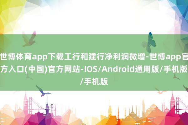 世博体育app下载工行和建行净利润微增-世博app官方入口(中国)官方网站-IOS/Android通用版/手机版