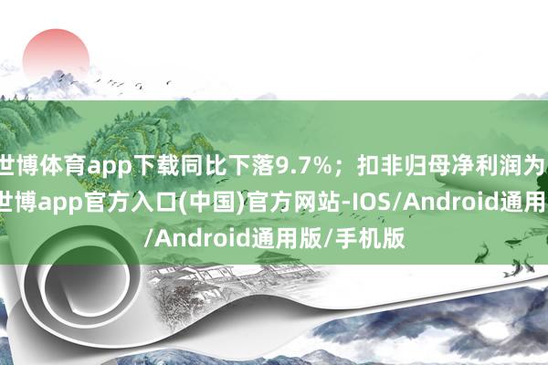 世博体育app下载同比下落9.7%；扣非归母净利润为15.9亿元-世博app官方入口(中国)官方网站-IOS/Android通用版/手机版