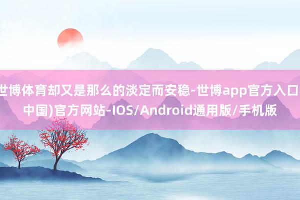 世博体育却又是那么的淡定而安稳-世博app官方入口(中国)官方网站-IOS/Android通用版/手机版
