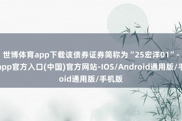 世博体育app下载该债券证券简称为“25宏洋01”-世博app官方入口(中国)官方网站-IOS/Android通用版/手机版