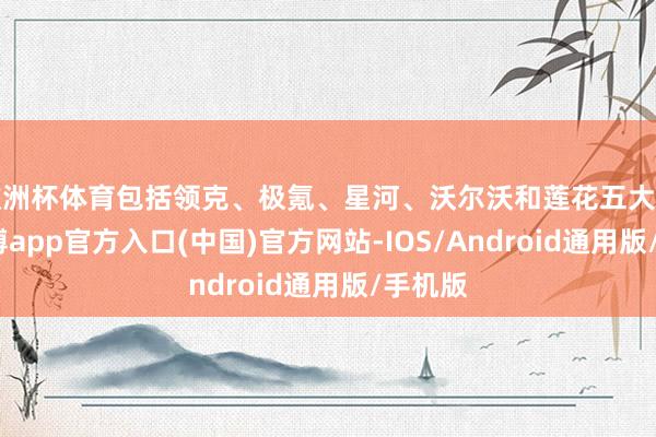 欧洲杯体育包括领克、极氪、星河、沃尔沃和莲花五大品牌-世博app官方入口(中国)官方网站-IOS/Android通用版/手机版