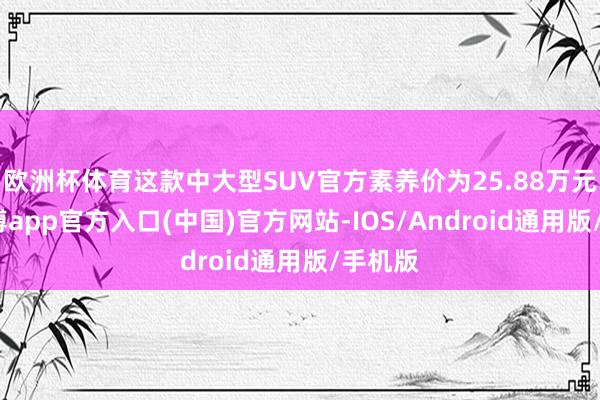 欧洲杯体育这款中大型SUV官方素养价为25.88万元起-世博app官方入口(中国)官方网站-IOS/Android通用版/手机版