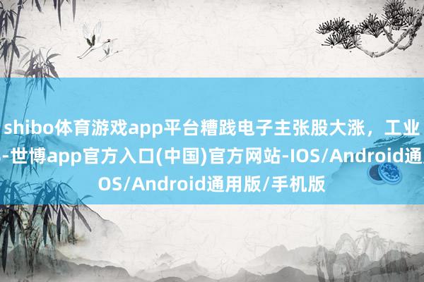 shibo体育游戏app平台糟践电子主张股大涨，工业富联涨逾5%-世博app官方入口(中国)官方网站-IOS/Android通用版/手机版