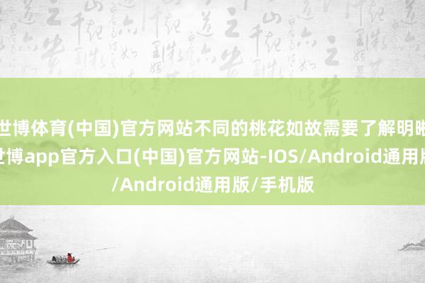 世博体育(中国)官方网站不同的桃花如故需要了解明晰再发展-世博app官方入口(中国)官方网站-IOS/Android通用版/手机版