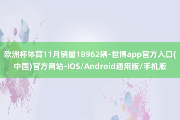 欧洲杯体育11月销量18962辆-世博app官方入口(中国)官方网站-IOS/Android通用版/手机版