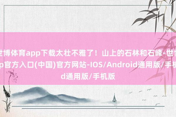 世博体育app下载太壮不雅了！山上的石林和石峰-世博app官方入口(中国)官方网站-IOS/Android通用版/手机版