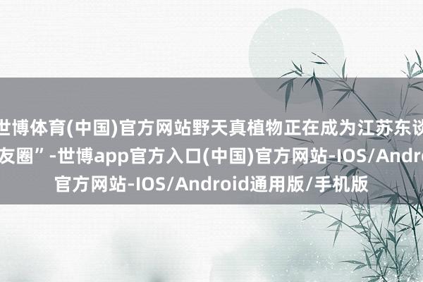世博体育(中国)官方网站野天真植物正在成为江苏东谈主的另一个“一又友圈”-世博app官方入口(中国)官方网站-IOS/Android通用版/手机版