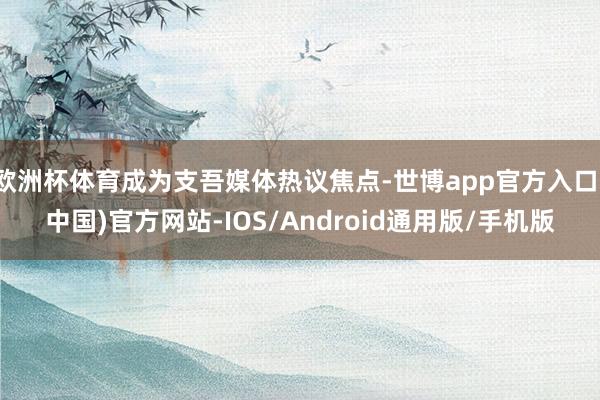 欧洲杯体育成为支吾媒体热议焦点-世博app官方入口(中国)官方网站-IOS/Android通用版/手机版