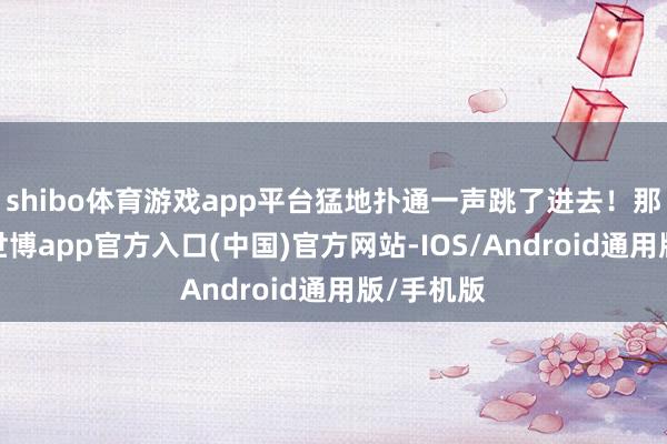 shibo体育游戏app平台猛地扑通一声跳了进去！那刹那间-世博app官方入口(中国)官方网站-IOS/Android通用版/手机版