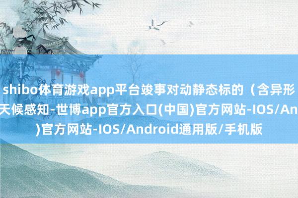 shibo体育游戏app平台竣事对动静态标的（含异形物体）的全场景、全天候感知-世博app官方入口(中国)官方网站-IOS/Android通用版/手机版