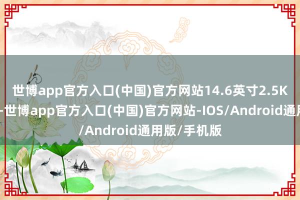 世博app官方入口(中国)官方网站14.6英寸2.5K高清中控屏-世博app官方入口(中国)官方网站-IOS/Android通用版/手机版
