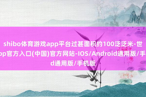 shibo体育游戏app平台过甚面积约100泛泛米-世博app官方入口(中国)官方网站-IOS/Android通用版/手机版