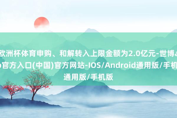 欧洲杯体育申购、和解转入上限金额为2.0亿元-世博app官方入口(中国)官方网站-IOS/Android通用版/手机版