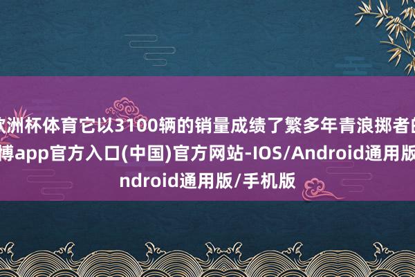 欧洲杯体育它以3100辆的销量成绩了繁多年青浪掷者的怜爱-世博app官方入口(中国)官方网站-IOS/Android通用版/手机版