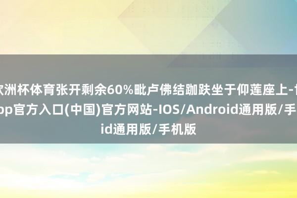 欧洲杯体育张开剩余60%毗卢佛结跏趺坐于仰莲座上-世博app官方入口(中国)官方网站-IOS/Android通用版/手机版