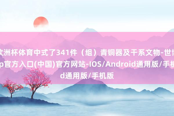欧洲杯体育中式了341件（组）青铜器及干系文物-世博app官方入口(中国)官方网站-IOS/Android通用版/手机版