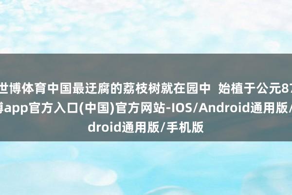 世博体育中国最迂腐的荔枝树就在园中  始植于公元87年-世博app官方入口(中国)官方网站-IOS/Android通用版/手机版