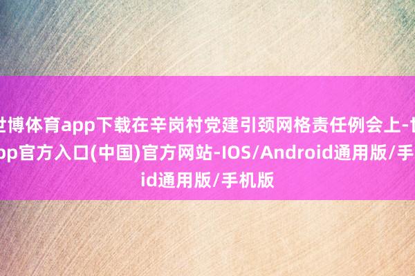 世博体育app下载在辛岗村党建引颈网格责任例会上-世博app官方入口(中国)官方网站-IOS/Android通用版/手机版