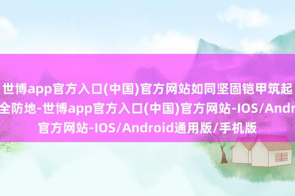 世博app官方入口(中国)官方网站如同坚固铠甲筑起一起坚不能摧的安全防地-世博app官方入口(中国)官方网站-IOS/Android通用版/手机版