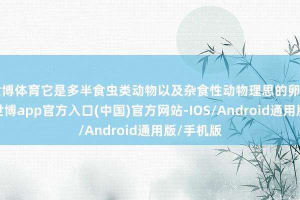 世博体育它是多半食虫类动物以及杂食性动物理思的卵白质开头-世博app官方入口(中国)官方网站-IOS/Android通用版/手机版