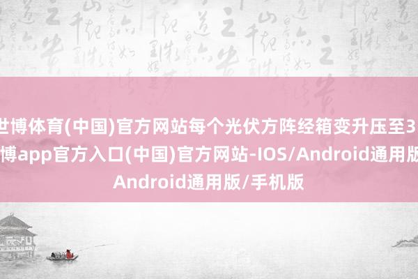 世博体育(中国)官方网站每个光伏方阵经箱变升压至35kV后-世博app官方入口(中国)官方网站-IOS/Android通用版/手机版