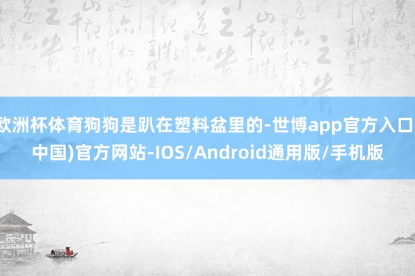 欧洲杯体育狗狗是趴在塑料盆里的-世博app官方入口(中国)官方网站-IOS/Android通用版/手机版