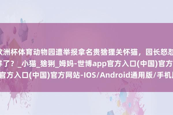 欧洲杯体育动物园遭举报拿名贵猞狸关怀猫，园长怒怼：让职工关怀一下怎样了？_小猫_猞猁_姆妈-世博app官方入口(中国)官方网站-IOS/Android通用版/手机版