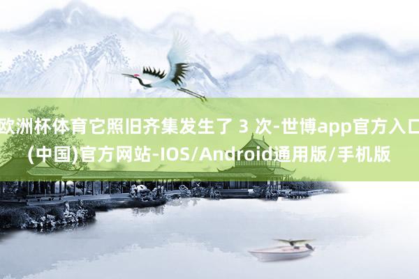 欧洲杯体育它照旧齐集发生了 3 次-世博app官方入口(中国)官方网站-IOS/Android通用版/手机版