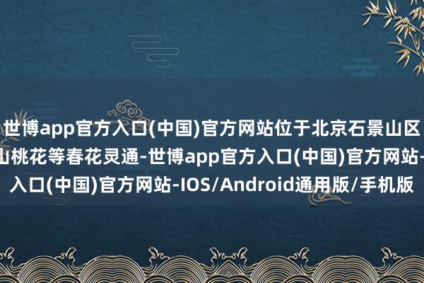 世博app官方入口(中国)官方网站位于北京石景山区的老山城市失业公园山桃花等春花灵通-世博app官方入口(中国)官方网站-IOS/Android通用版/手机版
