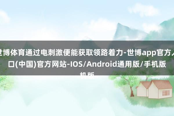 世博体育通过电刺激便能获取领路着力-世博app官方入口(中国)官方网站-IOS/Android通用版/手机版