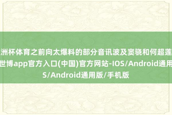 欧洲杯体育之前向太爆料的部分音讯波及窦骁和何超莲的婚配生计-世博app官方入口(中国)官方网站-IOS/Android通用版/手机版