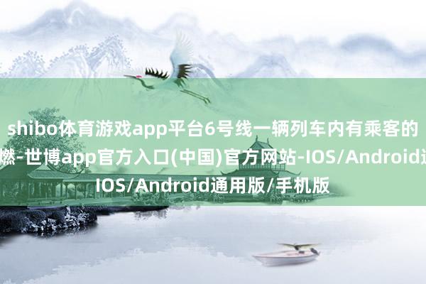 shibo体育游戏app平台6号线一辆列车内有乘客的充电宝发生自燃-世博app官方入口(中国)官方网站-IOS/Android通用版/手机版