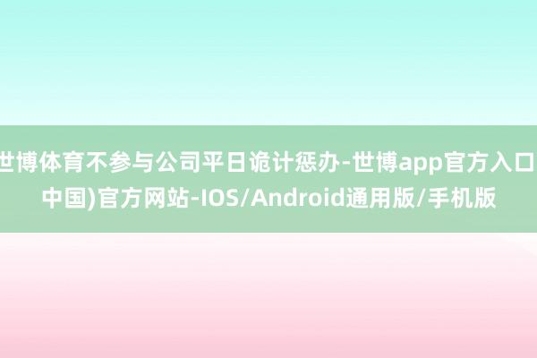 世博体育不参与公司平日诡计惩办-世博app官方入口(中国)官方网站-IOS/Android通用版/手机版
